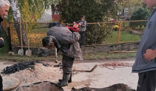 Svinja bačena u kanalizaciju