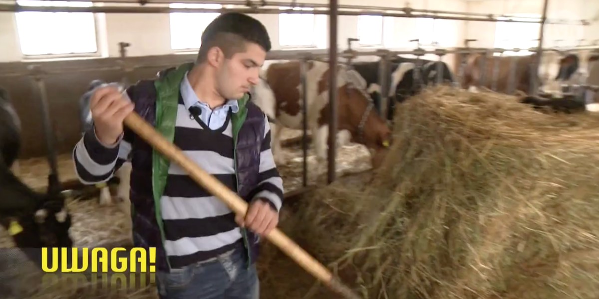 Daniel Stanciu ma 24 lata i prosi Andrzeja Dudę o obywatelstwo