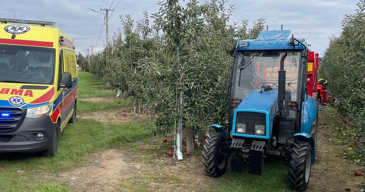 Nagła śmierć w sadzie w Święcicy. "Nie był przygnieciony"