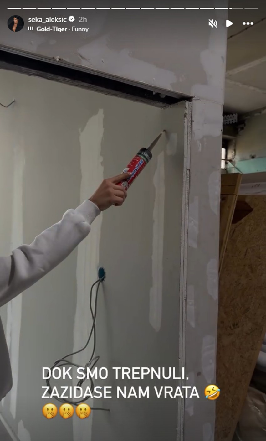 Seka Aleksić, objava