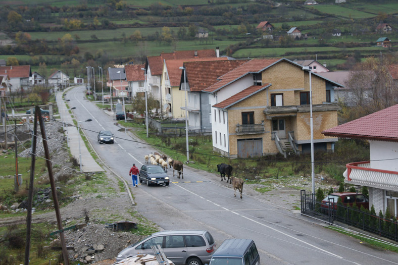 Ekspedycja Czarnogóra: kierunek Montenegro