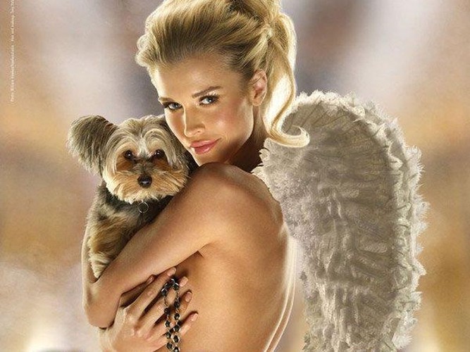 Joanna Krupa zachęca do adopcji zwierząt