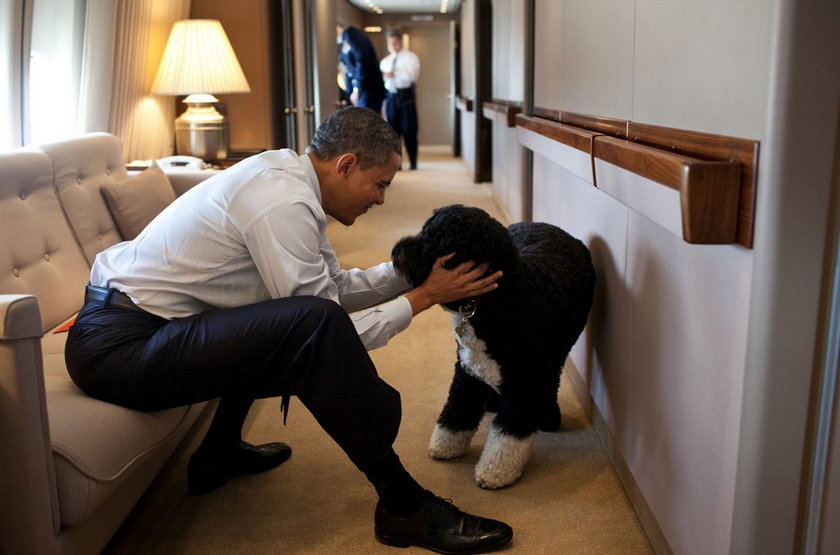 Luksusy w Air Force One