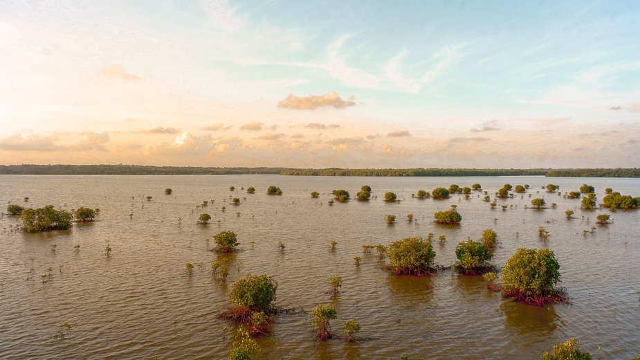 Czy technologia sprawdzi się w przewidywaniu powodzi?