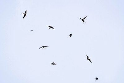 Nie tylko wygrana opozycji. Trzy krzepiące obserwacje z wyborów 2023 [OPINIA]