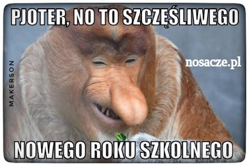 Rozpoczęcie roku szkolnego 2021/2022 oczami internautów - memy