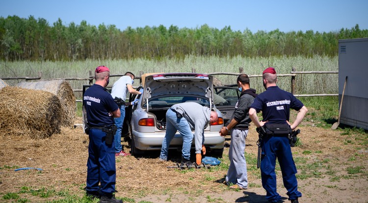 Embercsempész hálózaton ütött rajta a rendőrség.