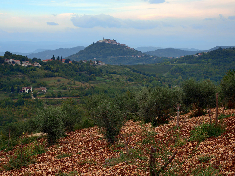 Motovun