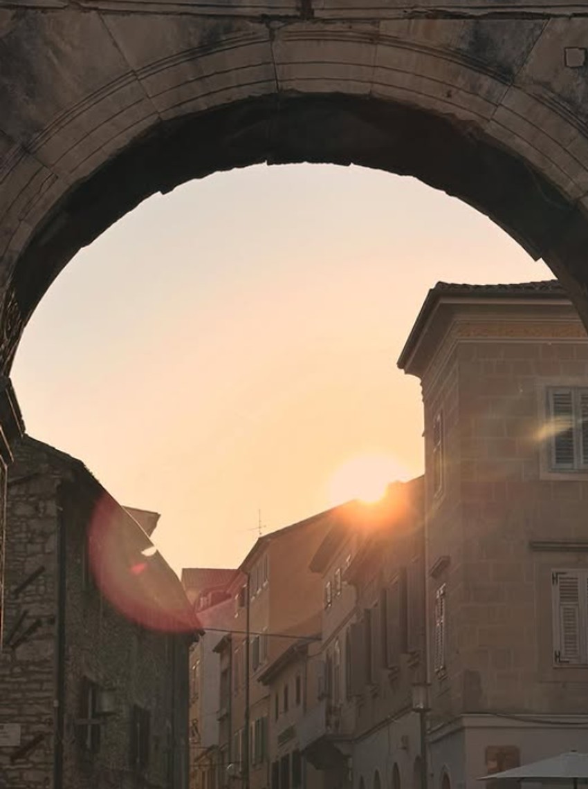 Miloš Biković, objava