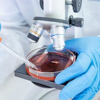 Halálos kórházi szuperbaktérium eheti meg a betegek kötszereit, implantátumait és varratait