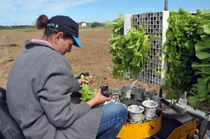 Ulaganja velika, a prinos neizvestan