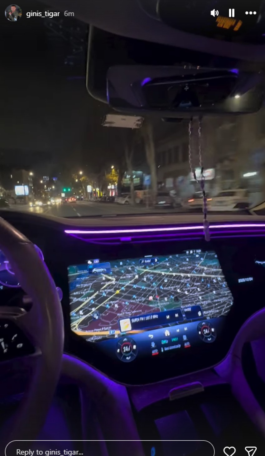 Tigar se vozi u luksuznom automobilu