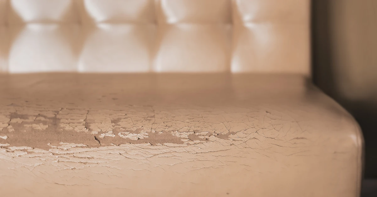 Jak usunąć drobne rysy ze skórzanych mebli? Oto domowe produkty, które mogą szybko temu zaradzić