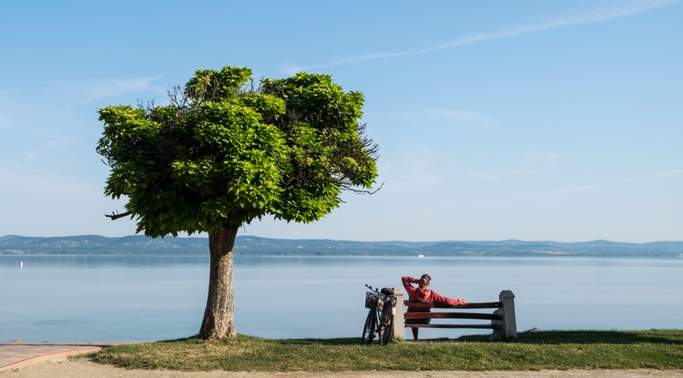 Balaton