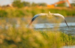 Ta kwestia jest kluczowa dla bezpieczeństwa Polski. Apel naukowców i aktywistów