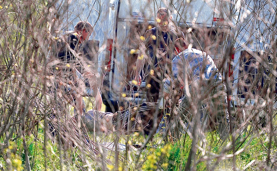 Jelenino telo na nasipu nađeno 3. aprila, posle 20 sati potrage