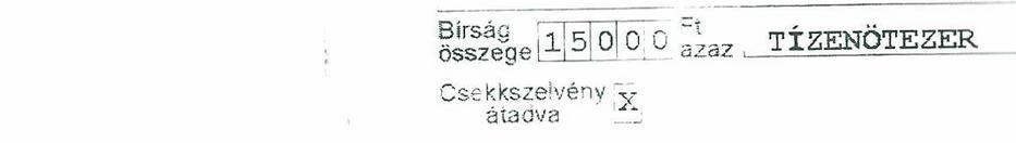 Katalin 15 ezer forintos büntetést kapott, mert közel állt a kereszteződéshez 