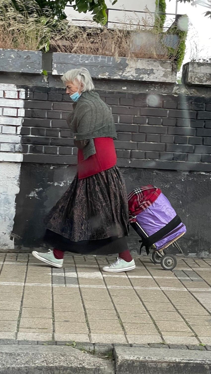 Vesna Pećanac danas