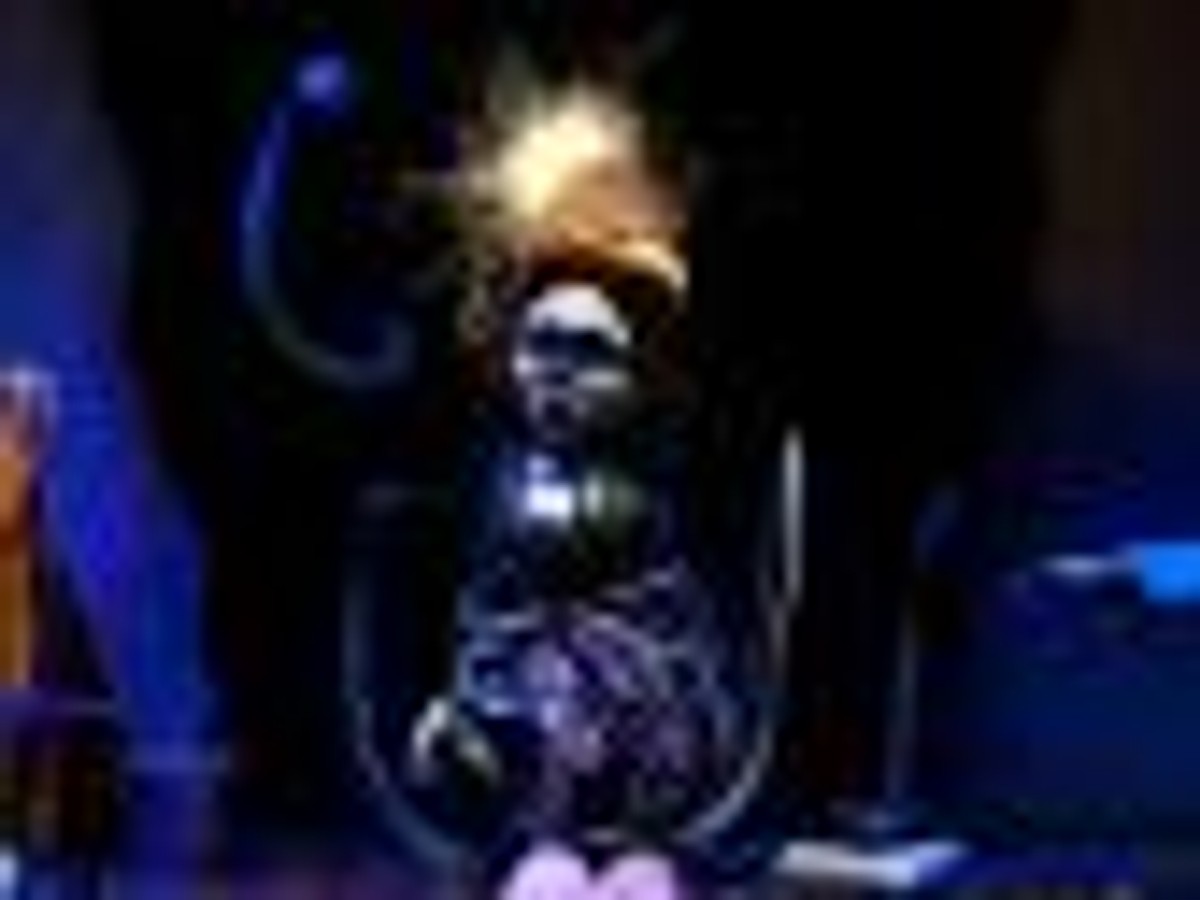 Merlin Puppet Theater "Clown's houses"