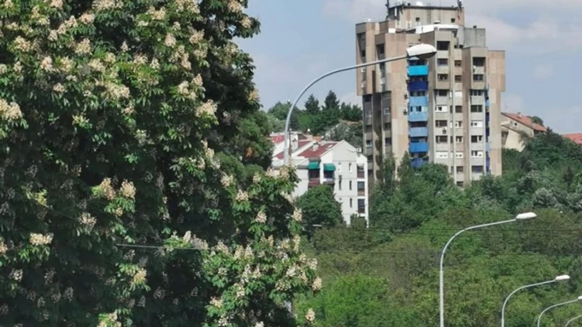 Udes na Petlovom Brdu