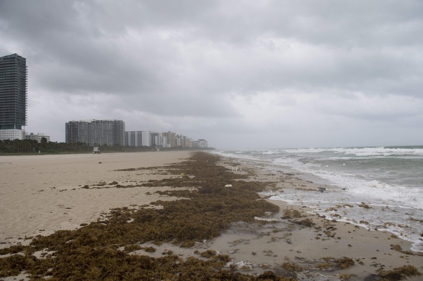 Pierwsze ulewy wyprzedzające nadejście huraganu Irma dotarły do Miami