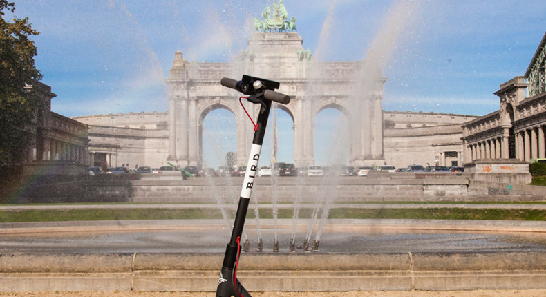Scooter company Bird is launching in Brussels.