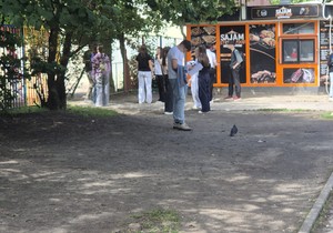 Mala matura Novi Sad