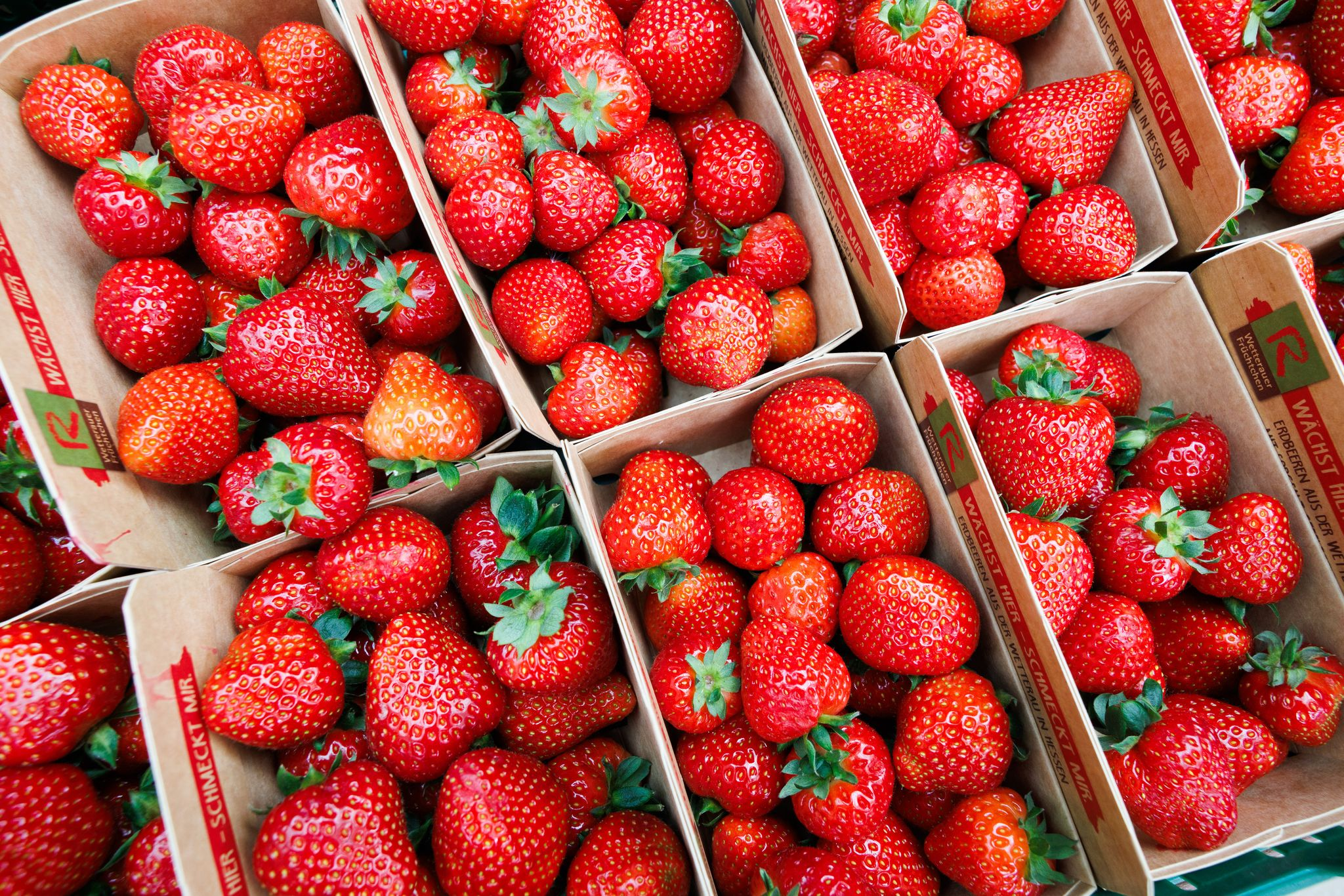 Erdbeeren und Spargel: Schwächste Ernten seit Jahren