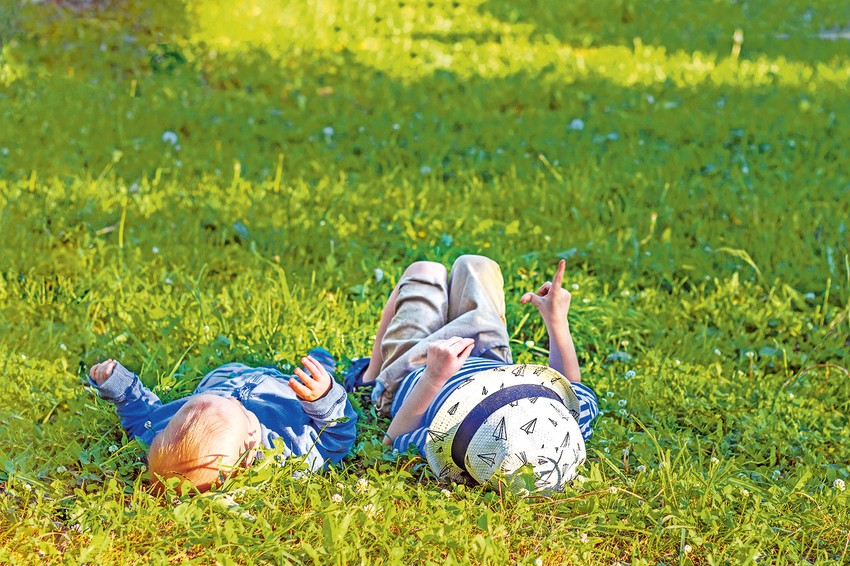 Stručnjaci iz Zavoda za biocide i medicinsku ekologiju kažu da krpelja u Beogradu ima najviše u šumama, koje su i izletišta