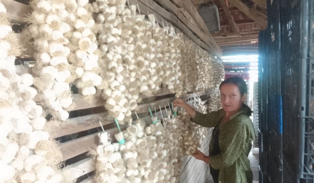 Verica je diplomirala na Filozofskom fakultetu i nije se libila motike i poljoprivrede: "Ulaganja mala, a dnevnica dobra"