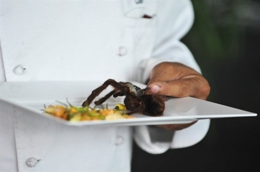 VENEZUELA - GASTRONOMY - MENDEZ - SPIDER