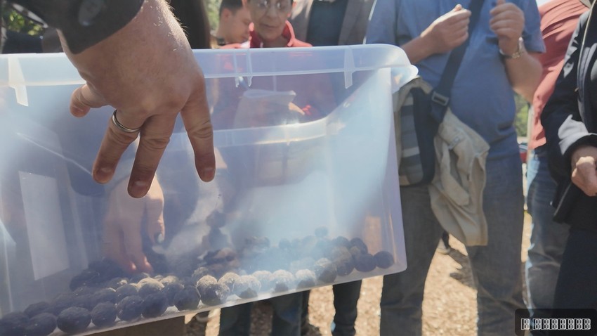  “Seed pods”, odnosno bombice, koje kasnije dron raspršuje po lokalitetu