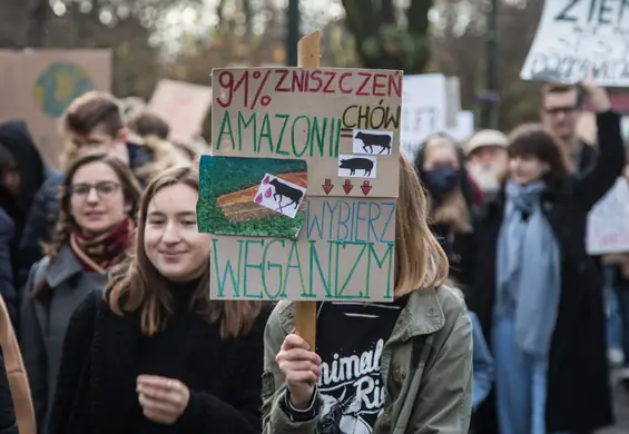 Weganie i narkomani. Jak redaktorzy TVP Info nie zrozumieli artykułu BBC