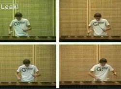 "Indiana Jones" zagrany na marimbie