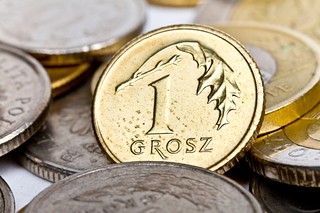 Zajdel-Kurowska: Rezerwy walutowe są jak armia