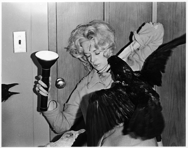Tippi Hedren w filmie 'Ptaki'
