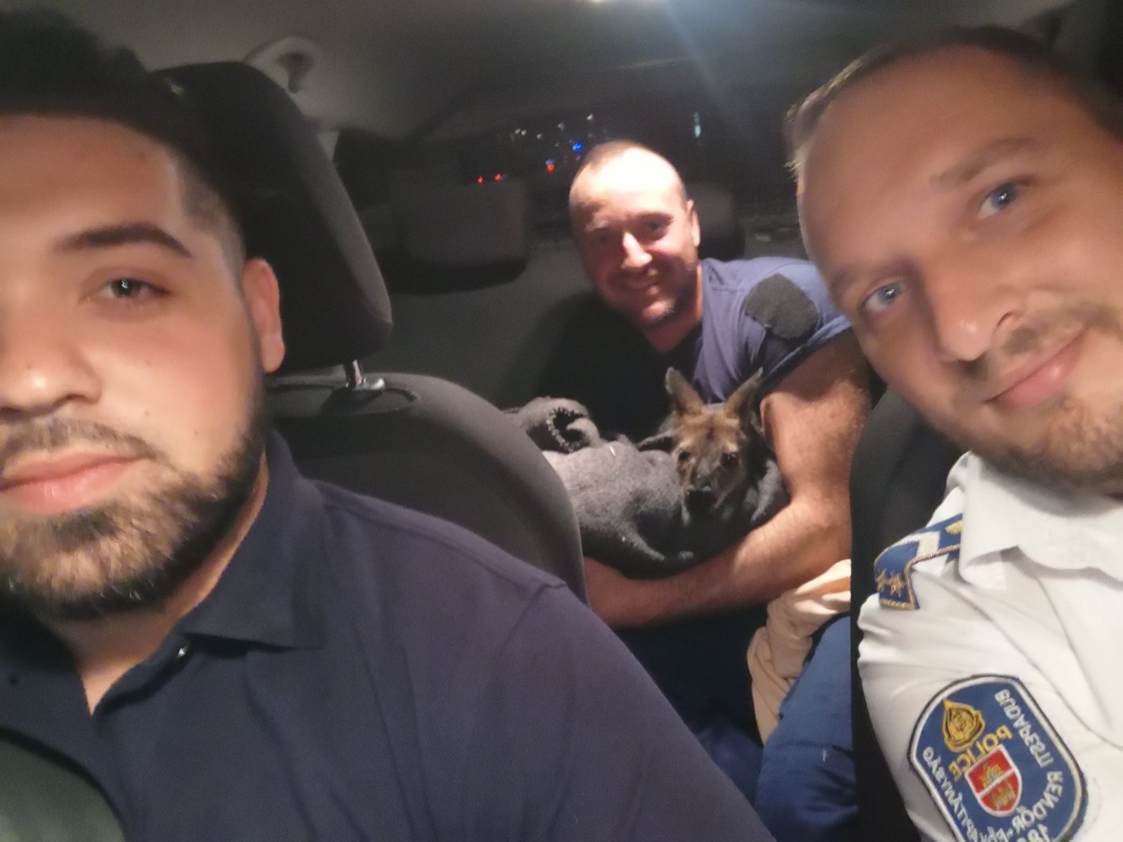 Policajti v Budapešti odchytili kenguru.