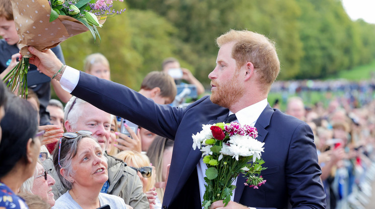 Harry lehet a következő király? / Fotó: Northfoto