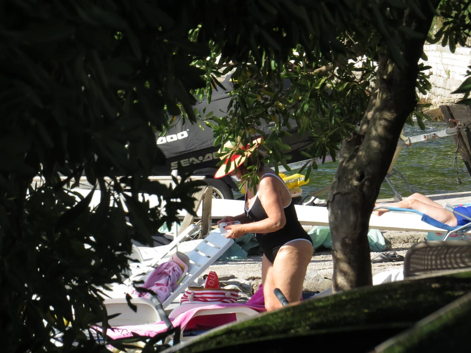 crna gora neda ukraden