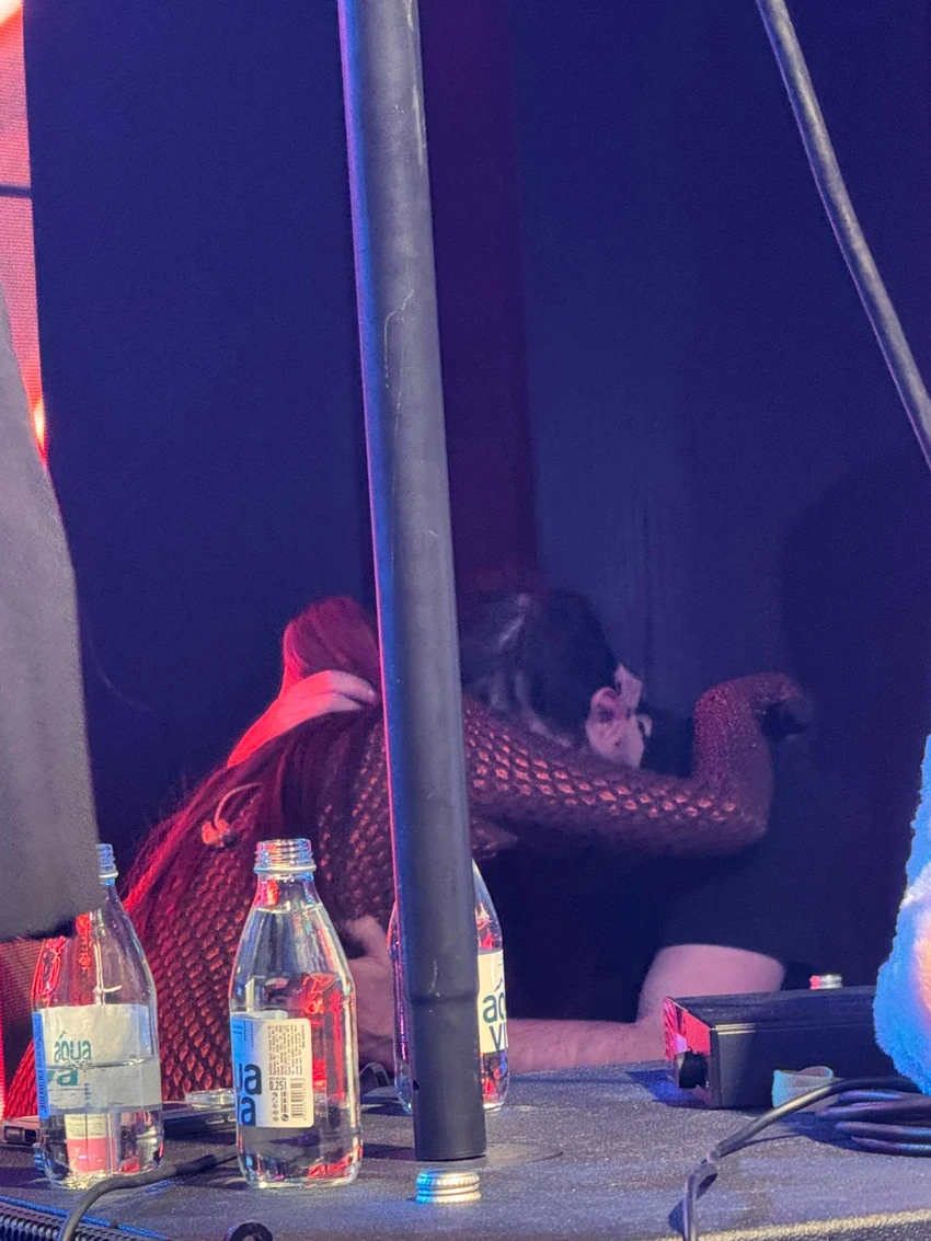 Paparaco Aleksandre Prijović i Filipa Živojinovića