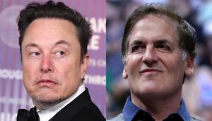 Elon Musk called Mark Cuban a giant turd in human form after Cuban said that Musk had adjusted X's algorithm according to his own preferences.Steve Granitz/FilmMagic via Getty Images; Megan Briggs via Getty Images