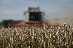 Izby Rolnicze: ubezpieczenia w rolnictwie powinny być obowiązkowe