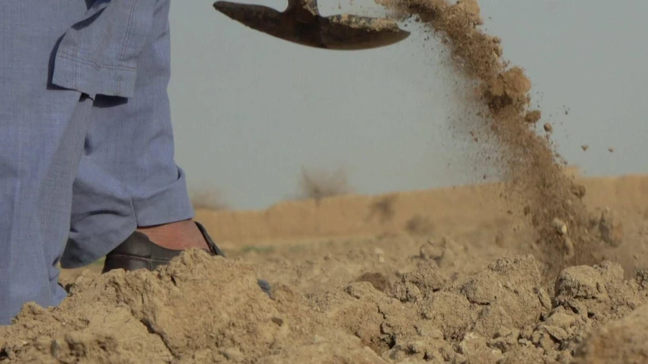 Mnogi zemljoradnici su se povinovali zabrani uzgoja maka, uprkos teškim uslovima i činjenici da je mak relativno otporan na sušu | Foto: BBC