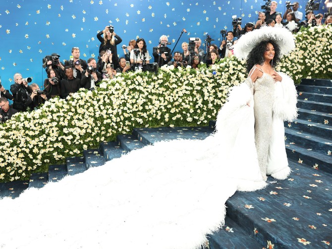 Met Gala 2025: Dajana Ros