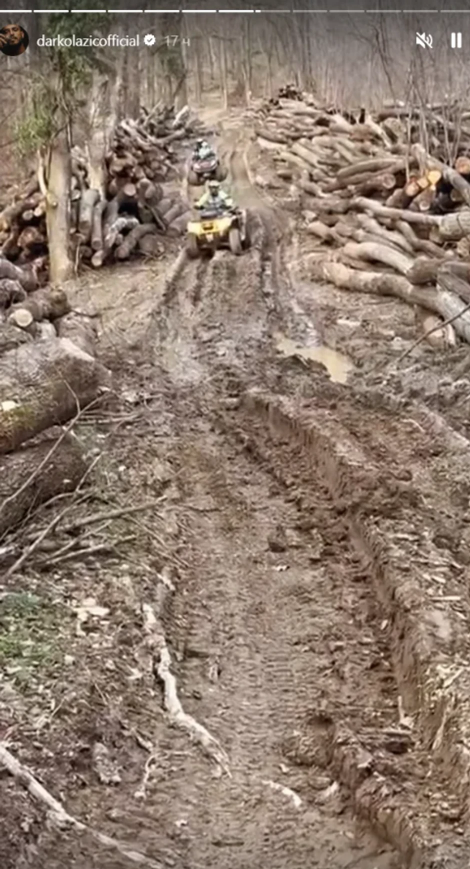 Darko Lazić, objava