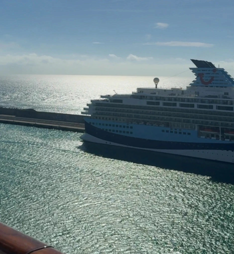 Sanja Marinković, objava