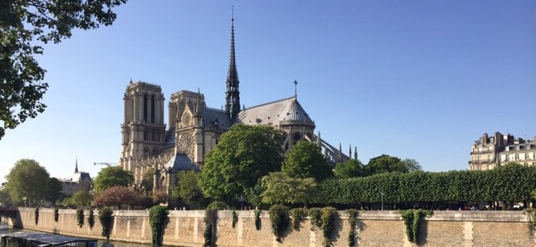 Mieszkańcy wokół Notre Dame muszą przejść badania. Wysoka zawartość ołowiu w krwi dziecka