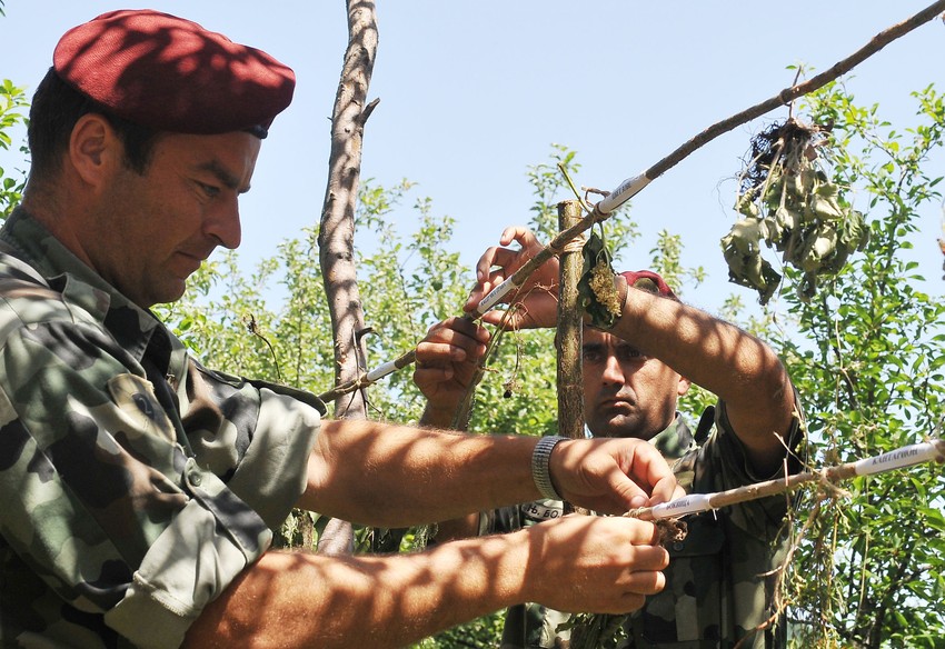 Vežba preživljavanja u prirodi