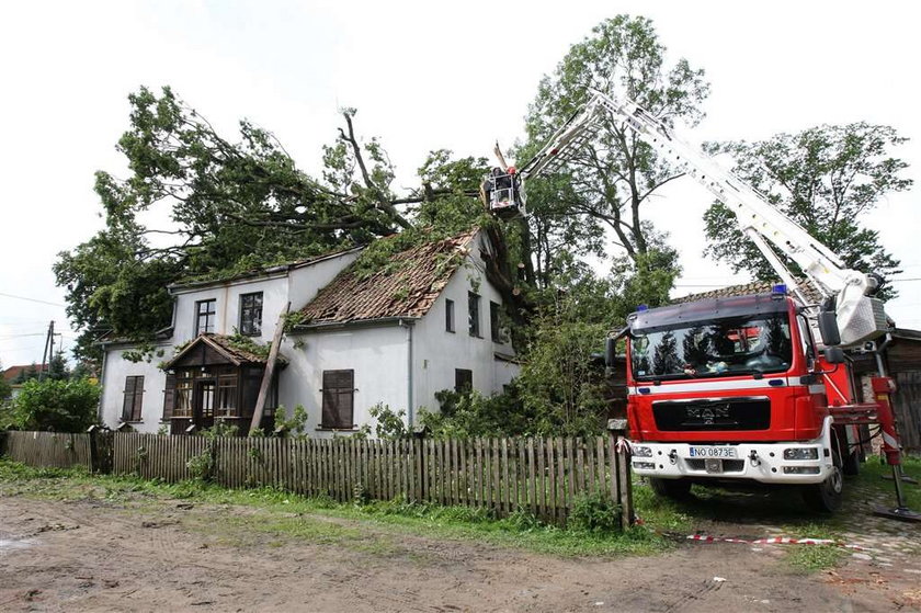 100-letni dąb zwalił się na dom państwa Szczyglak