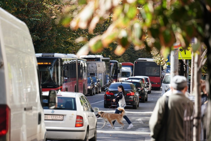 Bulevar despota Stefana